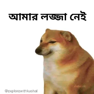🤷‍♂-Bengali cheems,Join- @about_kushal :: @fStikBot, Telegram Sticker