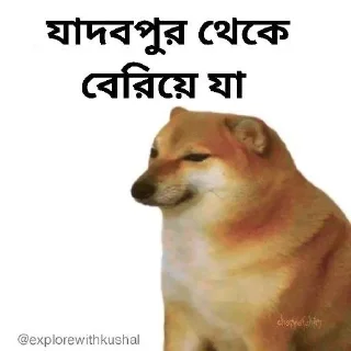 🌟-Bengali cheems,Join- @about_kushal :: @fStikBot, Telegram Sticker