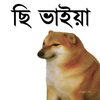 👀-Bengali cheems,Join- @about_kushal :: @fStikBot, Telegram Sticker