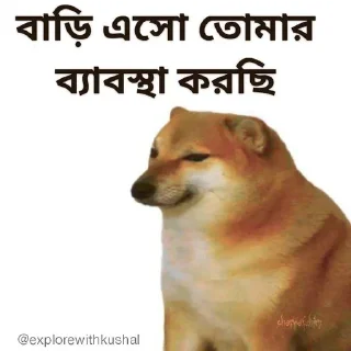 🤯-Bengali cheems,Join- @about_kushal :: @fStikBot, Telegram Sticker