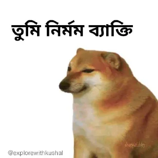 😡-Bengali cheems,Join- @about_kushal :: @fStikBot, Telegram Sticker