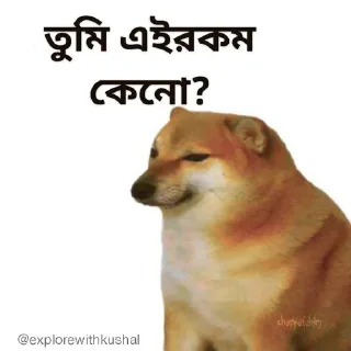 😞-Bengali cheems,Join- @about_kushal :: @fStikBot, Telegram Sticker