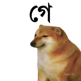 👀-Bengali cheems,Join- @about_kushal :: @fStikBot, Telegram Sticker