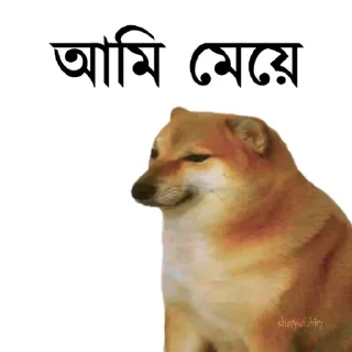 👀-Bengali cheems,Join- @about_kushal :: @fStikBot, Telegram Sticker