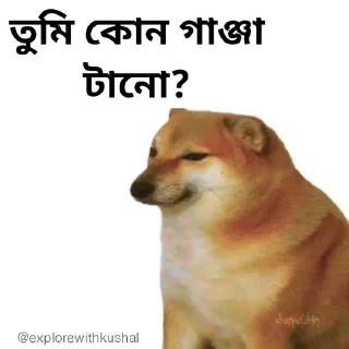 😡-Bengali cheems,Join- @about_kushal :: @fStikBot, Telegram Sticker