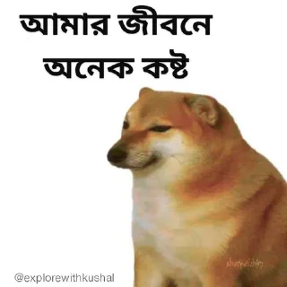 😢-Bengali cheems,Join- @about_kushal :: @fStikBot, Telegram Sticker