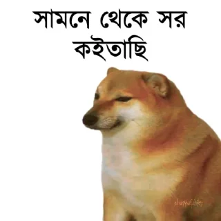👀-Bengali cheems,Join- @about_kushal :: @fStikBot, Telegram Sticker