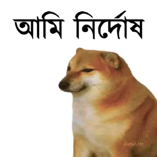 👀-Bengali cheems,Join- @about_kushal :: @fStikBot, Telegram Sticker