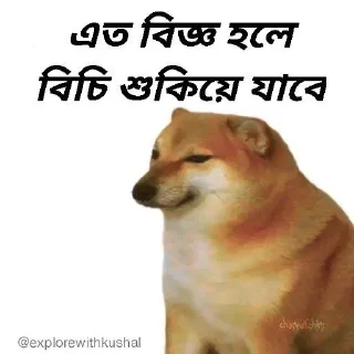 🌟-Bengali cheems,Join- @about_kushal :: @fStikBot, Telegram Sticker