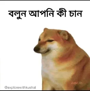 🤔-Bengali cheems,Join- @about_kushal :: @fStikBot, Telegram Sticker