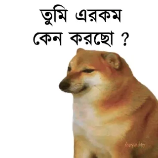 👀-Bengali cheems,Join- @about_kushal :: @fStikBot, Telegram Sticker