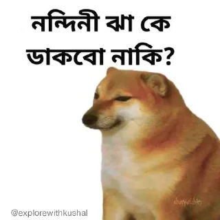 😏-Bengali cheems,Join- @about_kushal :: @fStikBot, Telegram Sticker