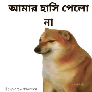😒-Bengali cheems,Join- @about_kushal :: @fStikBot, Telegram Sticker