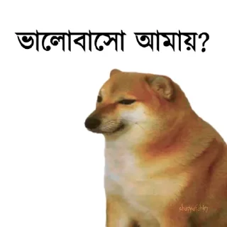 👀-Bengali cheems,Join- @about_kushal :: @fStikBot, Telegram Sticker