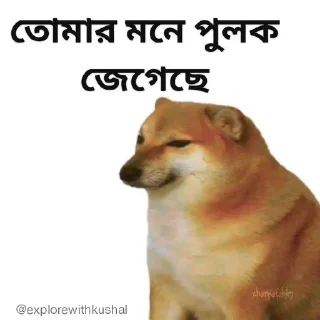 😏-Bengali cheems,Join- @about_kushal :: @fStikBot, Telegram Sticker