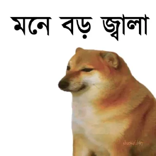 👀-Bengali cheems,Join- @about_kushal :: @fStikBot, Telegram Sticker