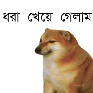 👀-Bengali cheems,Join- @about_kushal :: @fStikBot, Telegram Sticker