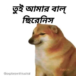 🌟-Bengali cheems,Join- @about_kushal :: @fStikBot, Telegram Sticker