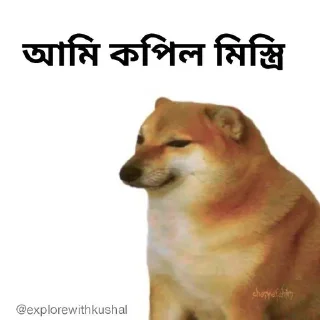 🤓-Bengali cheems,Join- @about_kushal :: @fStikBot, Telegram Sticker