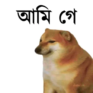 👀-Bengali cheems,Join- @about_kushal :: @fStikBot, Telegram Sticker