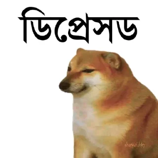 👀-Bengali cheems,Join- @about_kushal :: @fStikBot, Telegram Sticker