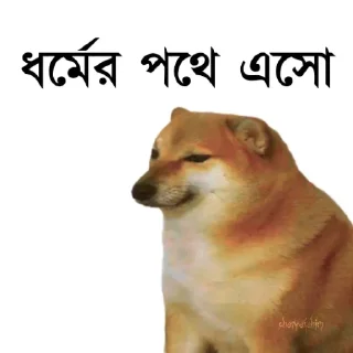 👀-Bengali cheems,Join- @about_kushal :: @fStikBot, Telegram Sticker
