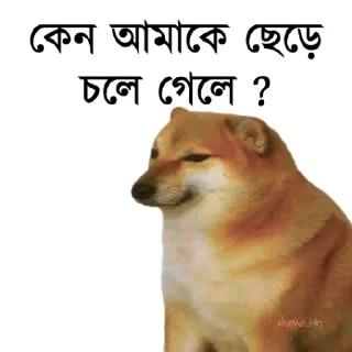 👀-Bengali cheems,Join- @about_kushal :: @fStikBot, Telegram Sticker