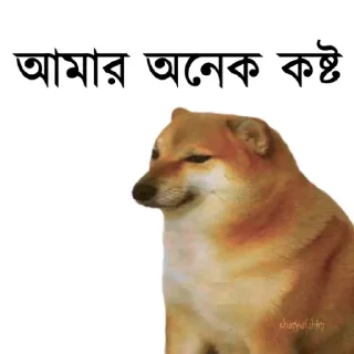 👀-Bengali cheems,Join- @about_kushal :: @fStikBot, Telegram Sticker