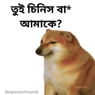 🙂-Bengali cheems,Join- @about_kushal :: @fStikBot, Telegram Sticker