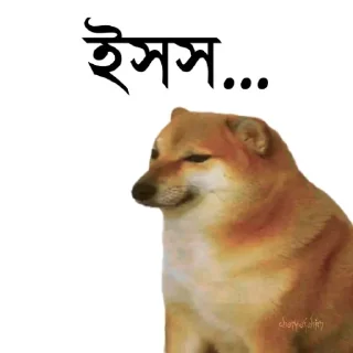 👀-Bengali cheems,Join- @about_kushal :: @fStikBot, Telegram Sticker