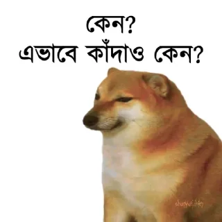 👀-Bengali cheems,Join- @about_kushal :: @fStikBot, Telegram Sticker