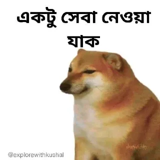 🌟-Bengali cheems,Join- @about_kushal :: @fStikBot, Telegram Sticker