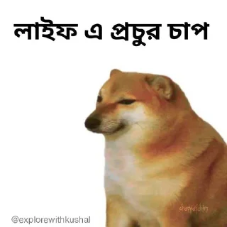 🥵-Bengali cheems,Join- @about_kushal :: @fStikBot, Telegram Sticker