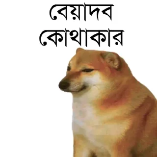 👀-Bengali cheems,Join- @about_kushal :: @fStikBot, Telegram Sticker
