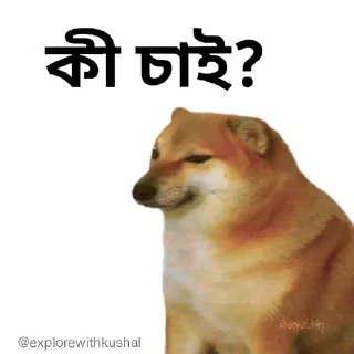 🤨-Bengali cheems,Join- @about_kushal :: @fStikBot, Telegram Sticker