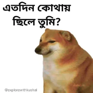 🧐-Bengali cheems,Join- @about_kushal :: @fStikBot, Telegram Sticker