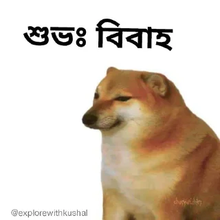 🎉-Bengali cheems,Join- @about_kushal :: @fStikBot, Telegram Sticker