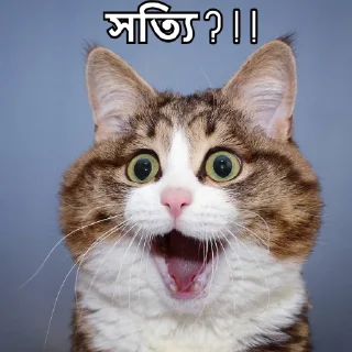 😐-Bangali's stickers, Telegram Sticker