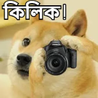 📸-Bangali's stickers, Telegram Sticker