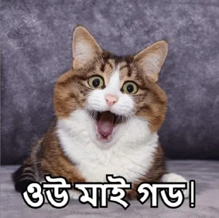 🤯-Bangali's stickers, Telegram Sticker