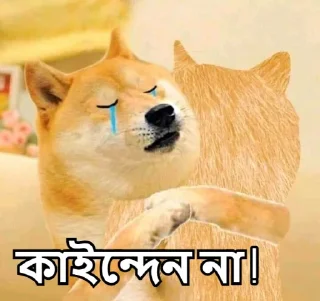 🤗-Bangali's stickers, Telegram Sticker