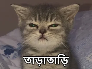 😑-Bangali's stickers, Telegram Sticker
