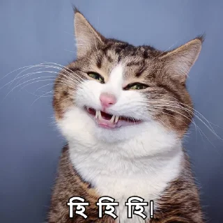 😁-Bangali's stickers, Telegram Sticker