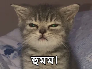 😑-Bangali's stickers, Telegram Sticker