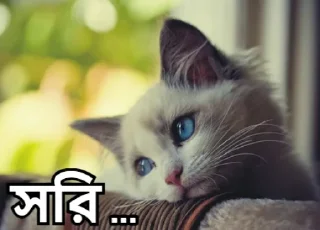 😞-Bangali's stickers, Telegram Sticker