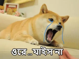 🥺-Bangali's stickers, Telegram Sticker