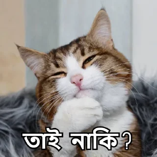 🤔-Bangali's stickers, Telegram Sticker