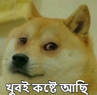 😢-Bangali's stickers, Telegram Sticker