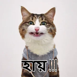 😃-Bangali's stickers, Telegram Sticker