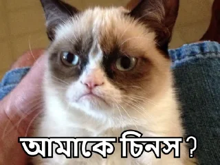 😒-Bangali's stickers, Telegram Sticker